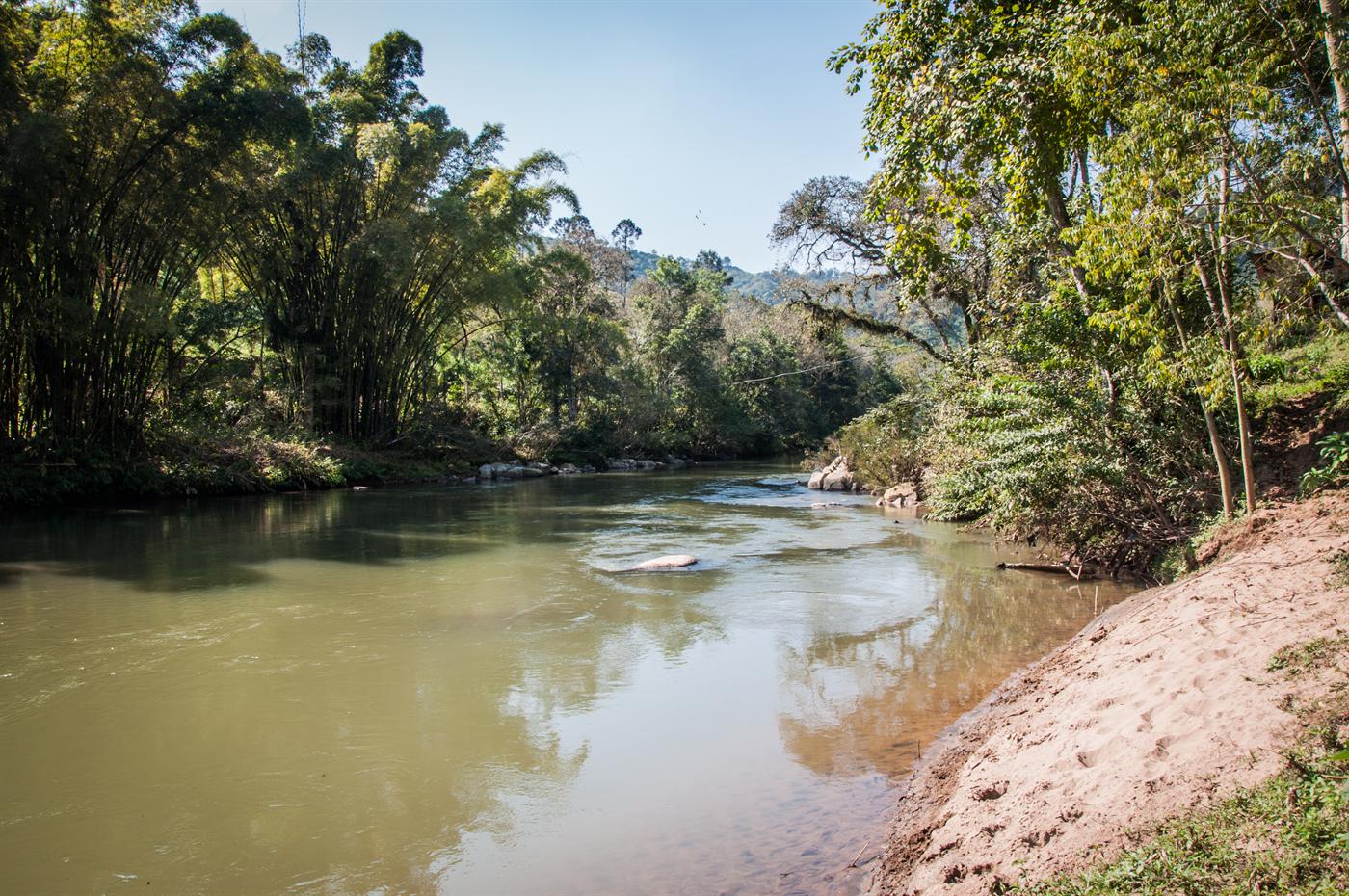 Trecho do rio com banco de areia e bambuzal